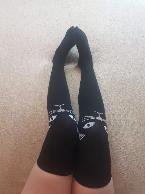 meow