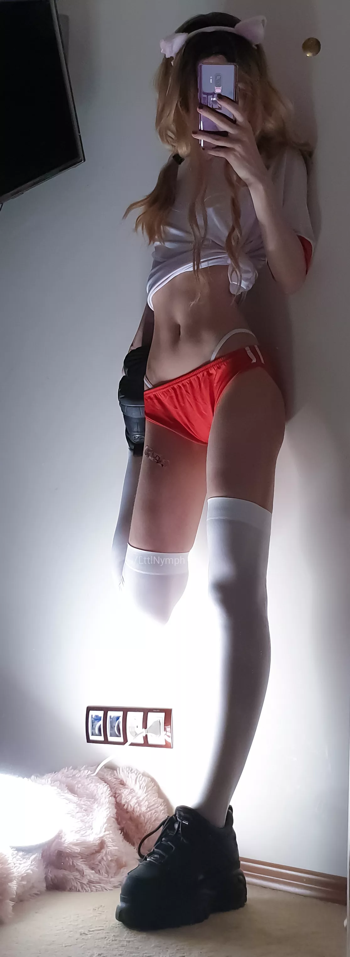 Meow meow meow Meow meow meow