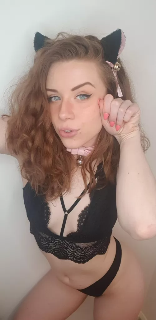 Meow.