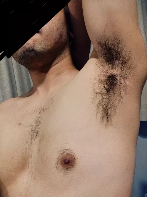 Merry Christmas 🌲