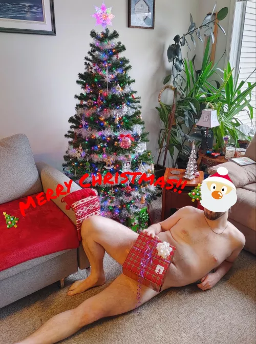 Merry Christmas and Happy Holidays