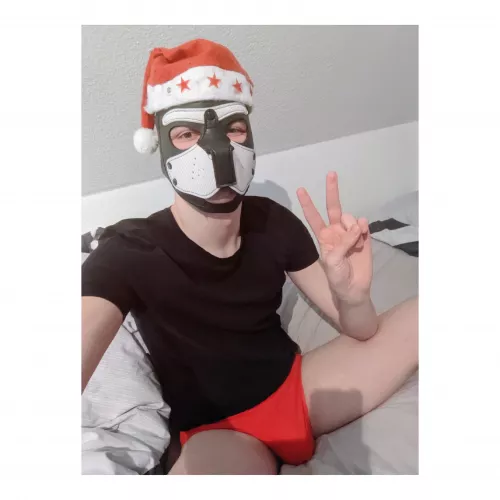 merry christmas, arooo! 🐺🎄