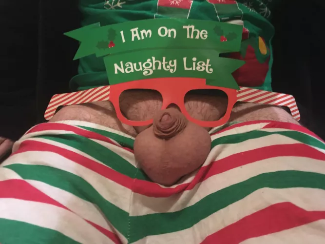 Merry Christmas from a little elfπ
