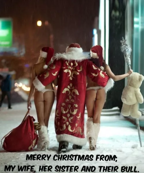 Merry Christmas from us to you!