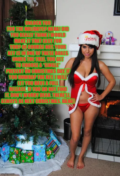 Merry Christmas?