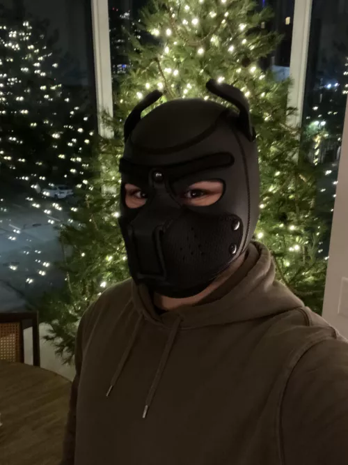 Merry Christmas pups!!!! 🎄🐶🎁