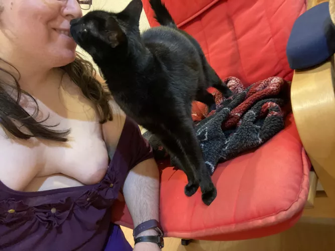 Merry Christmas to those who celebrate it. 🎄