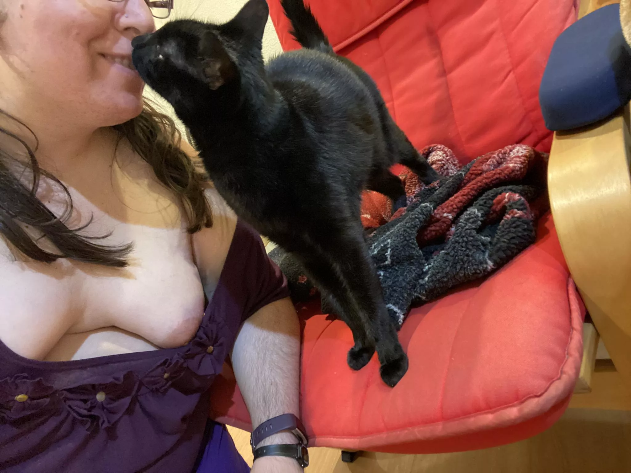 Merry Christmas to those who celebrate it. 🎄