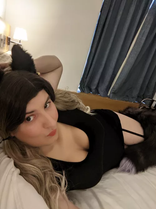 Meuw!! πββ¬. Hope you're having an awesome day!