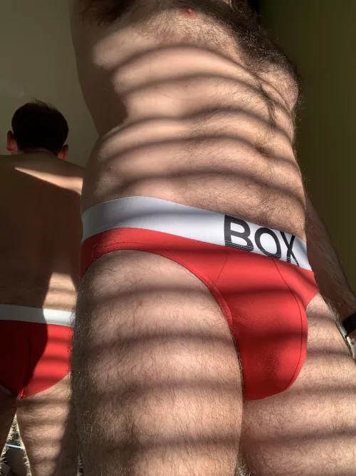 Mid week briefs Mid week briefs