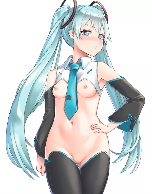 Miku In A “Reversed Bunny Suit” Miku In A “Reversed Bunny Suit”