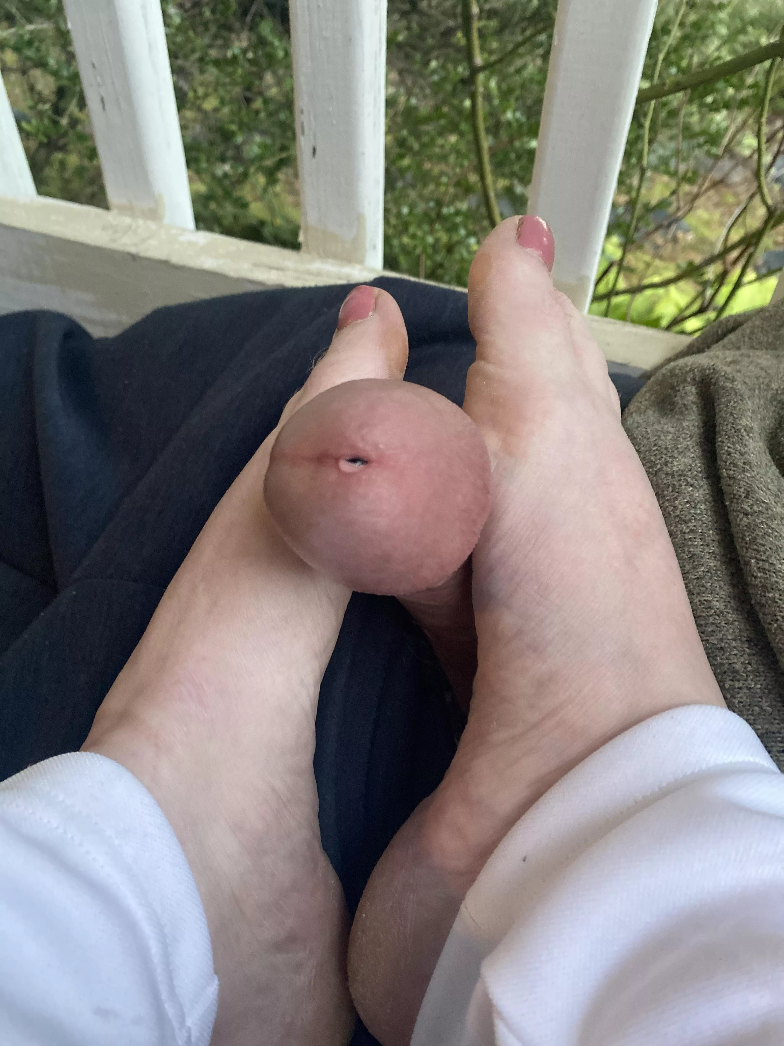 milking it milking it