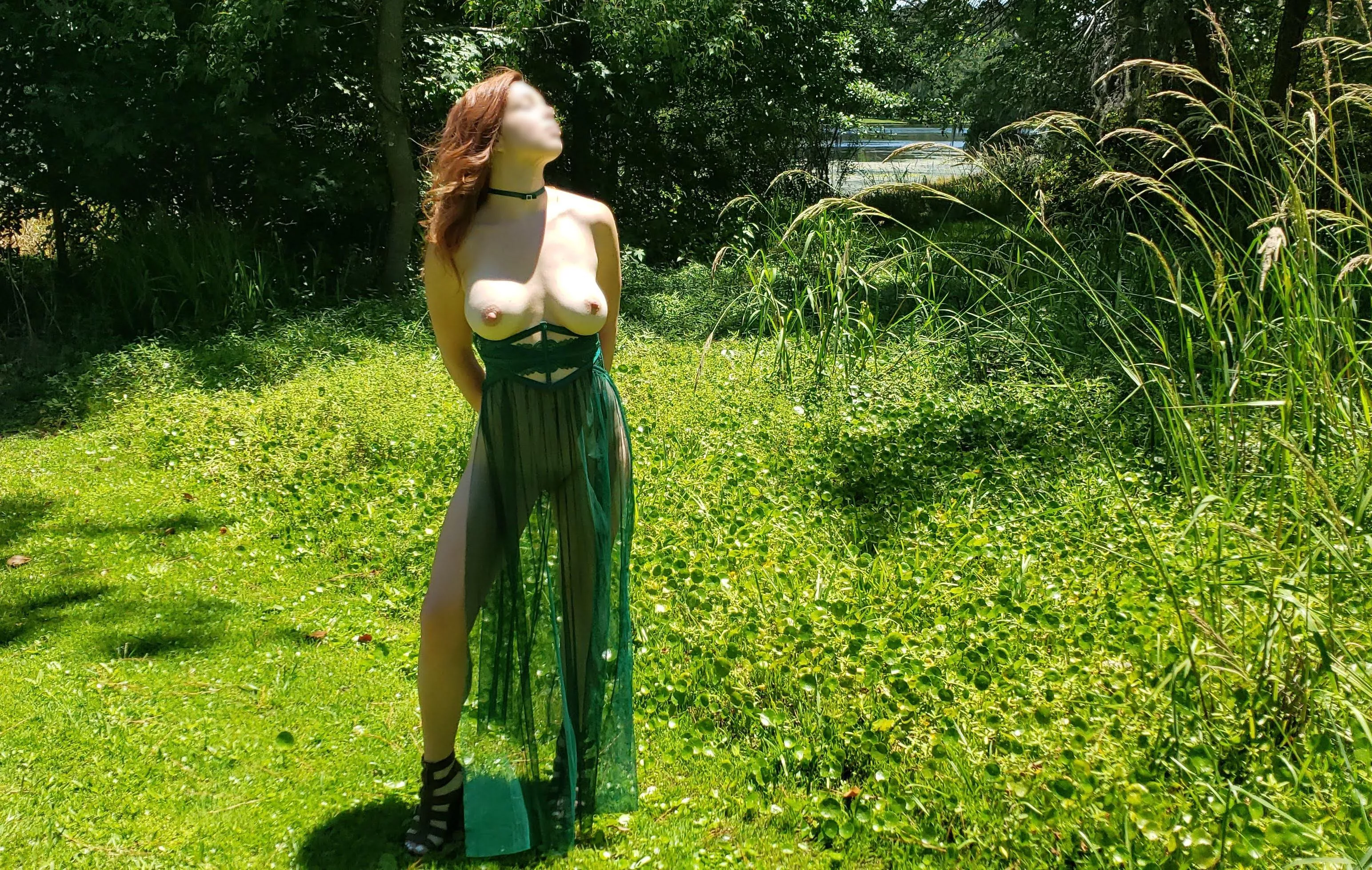 Mind the poison ivy Mind the poison ivy