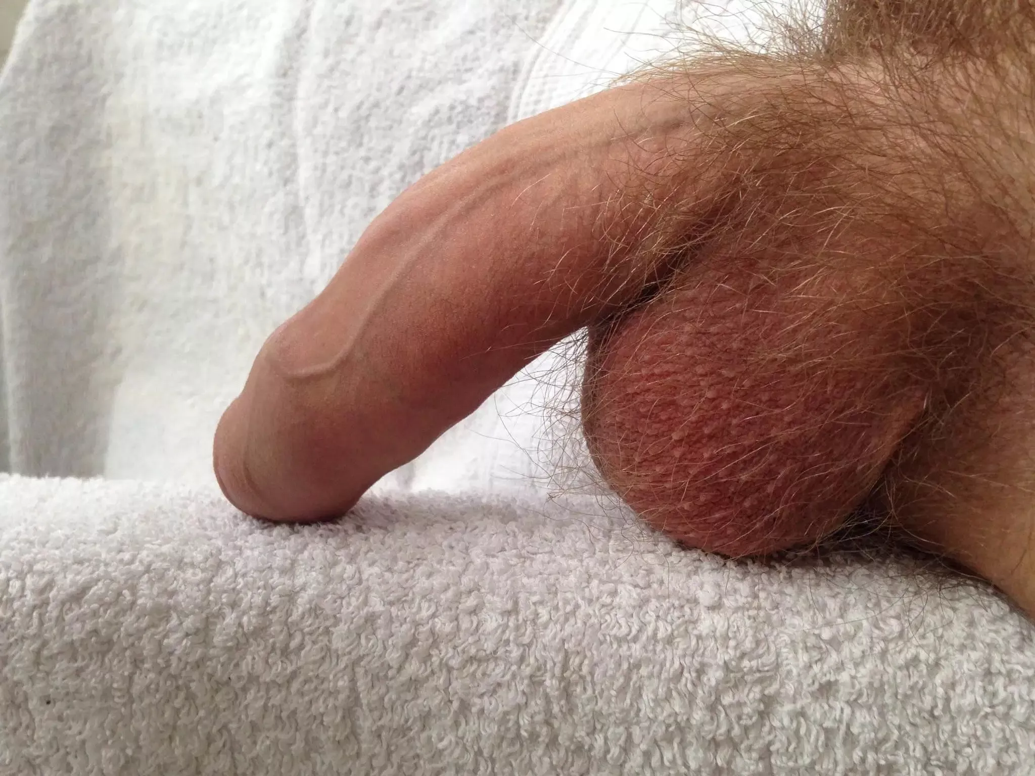 Limp Cock Pictures