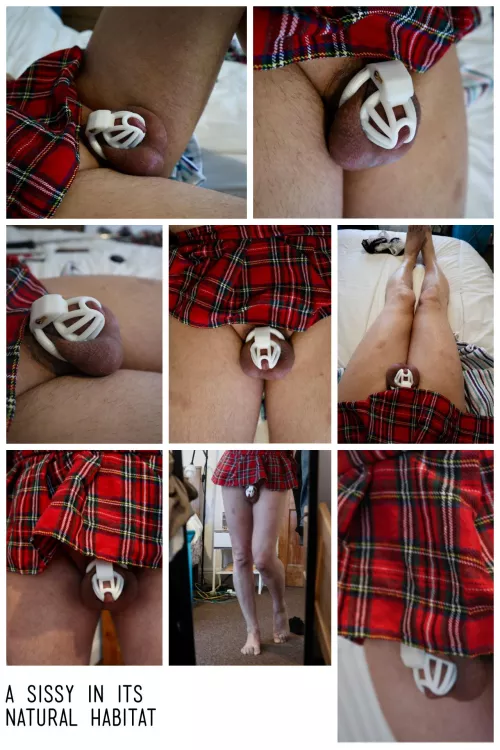 Mini skirt and cage Mini skirt and cage