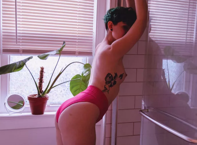 Mischievous little fox🦊