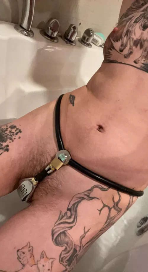 Miss has my keys locked away, so itโs belted bath time. (He/him)