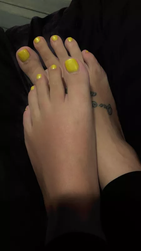 Miss me? Miss me?