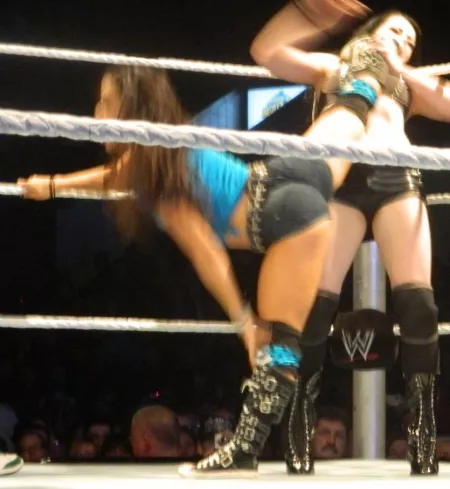 Mmmm AJ Lee š¤¤š¤¤š¤¤
