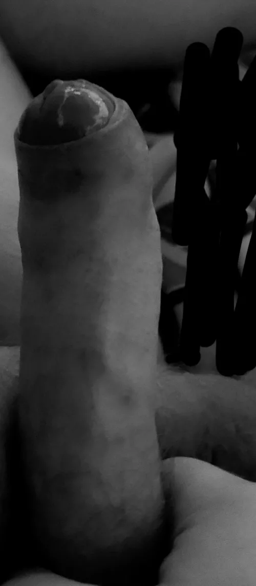 (M)ONDAY MORNING BLUES