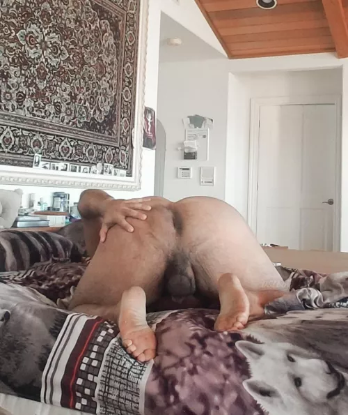 Monday morning breeding, anyone? [35]