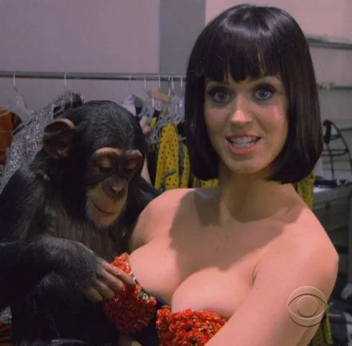 Monkey Business Monkey Business