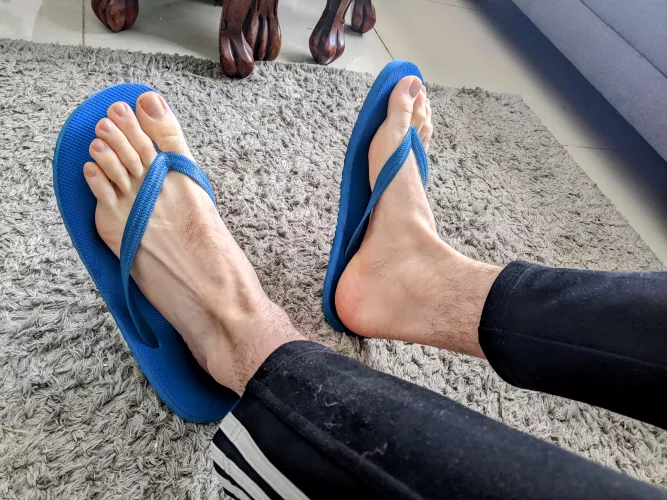 More flip flops as requested, what do you think?