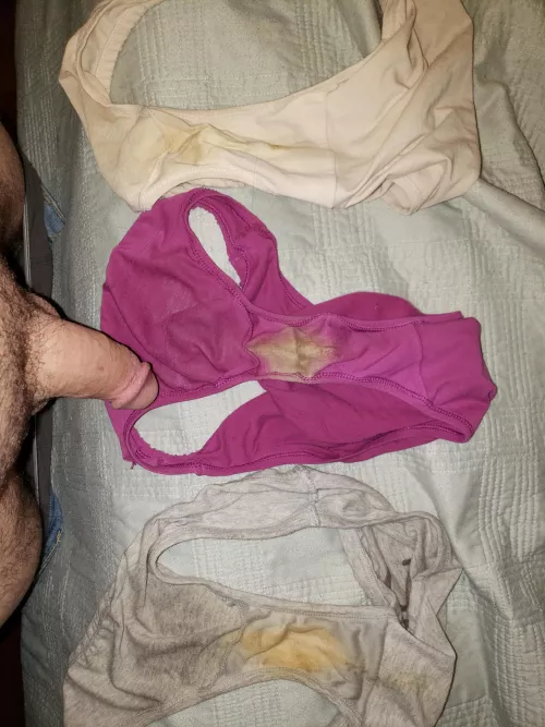More fun with wife's dirty panties