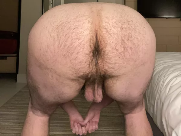 More of my hairy man ass for you More of my hairy man ass for you