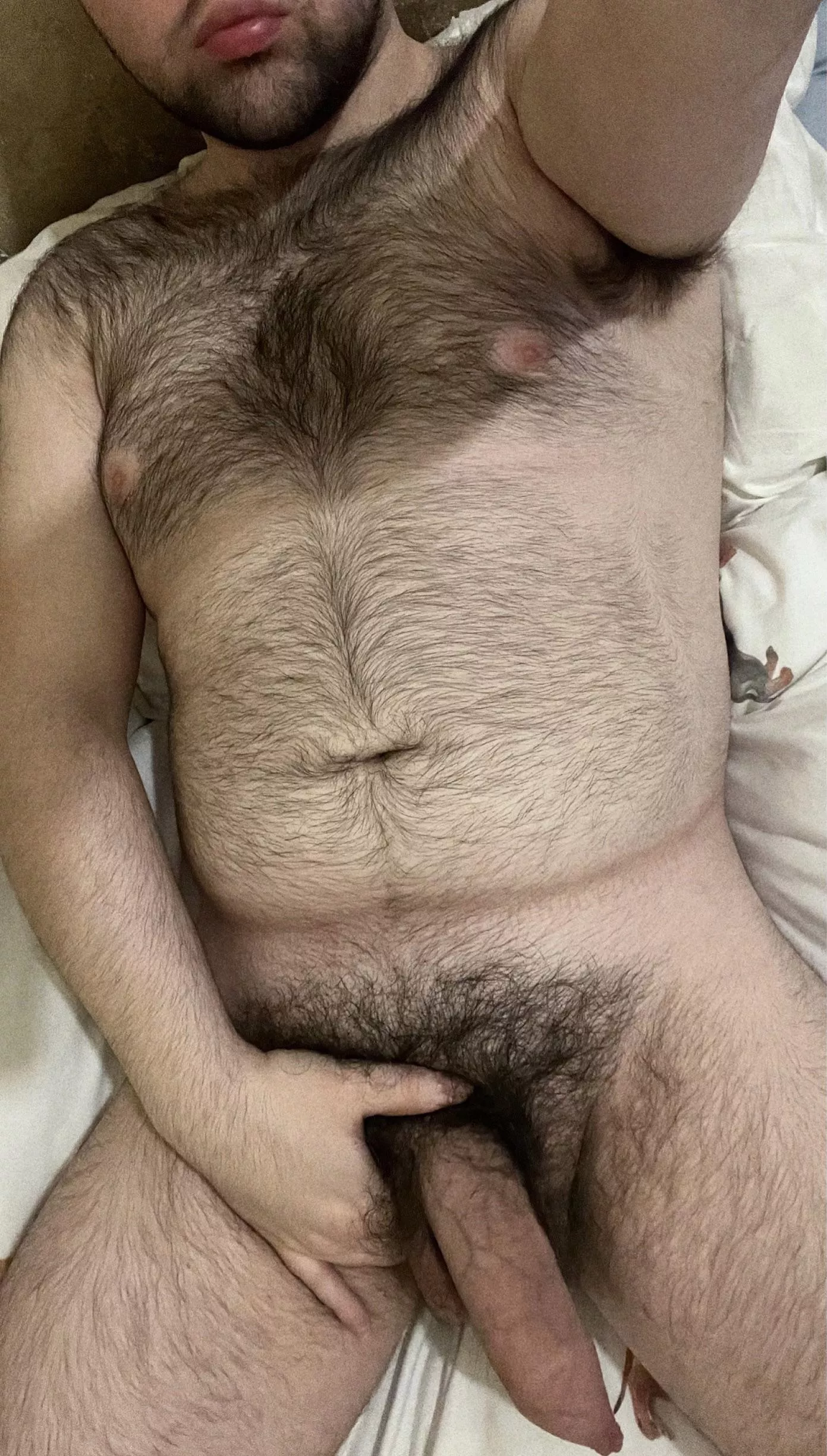 Morning boys, who wants to play? 😈🐻 Morning boys, who wants to play? 😈🐻