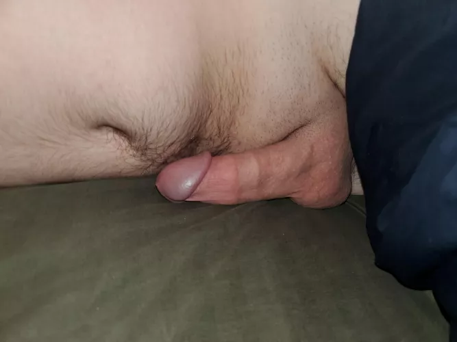 morning chubb