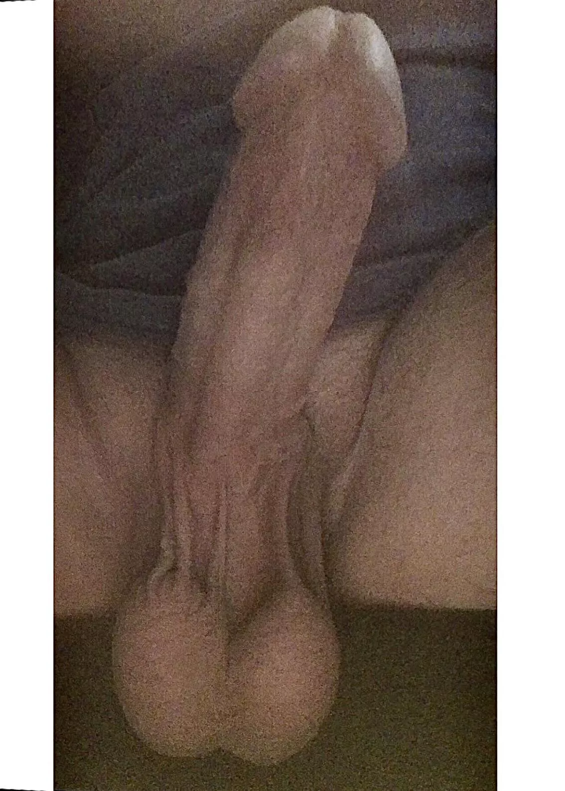 Morning cock lovers