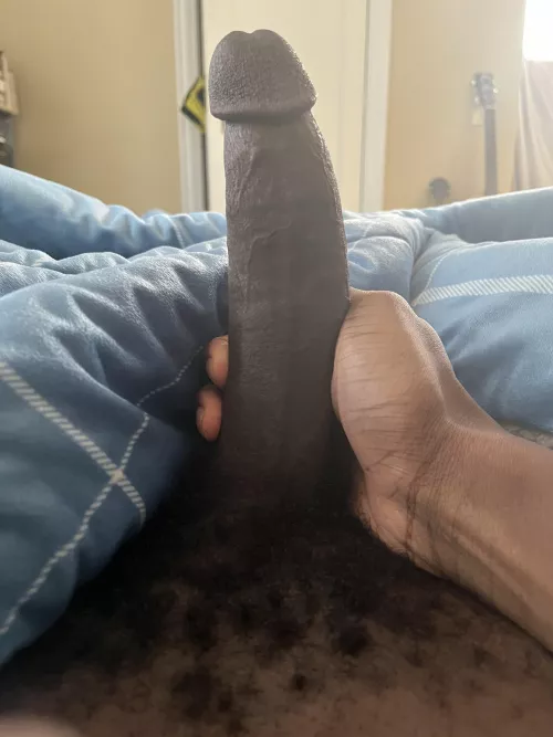 morning