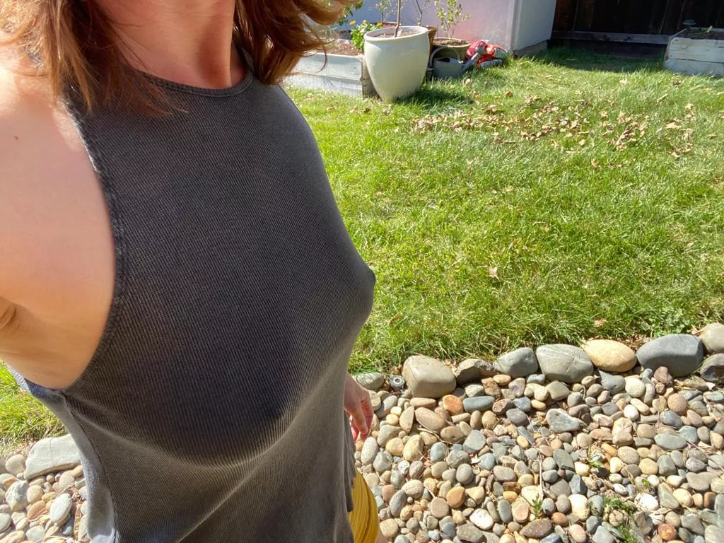 Morning from the garden Morning from the garden