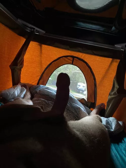 Morning glory camping is a mood