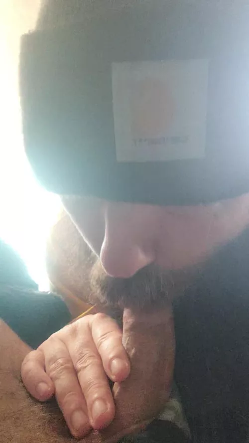 Morning head Morning head