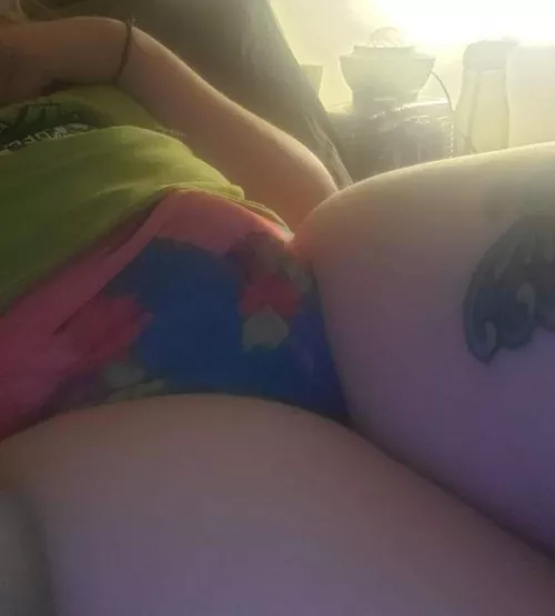 Morning horny babies and feral kitten/pets