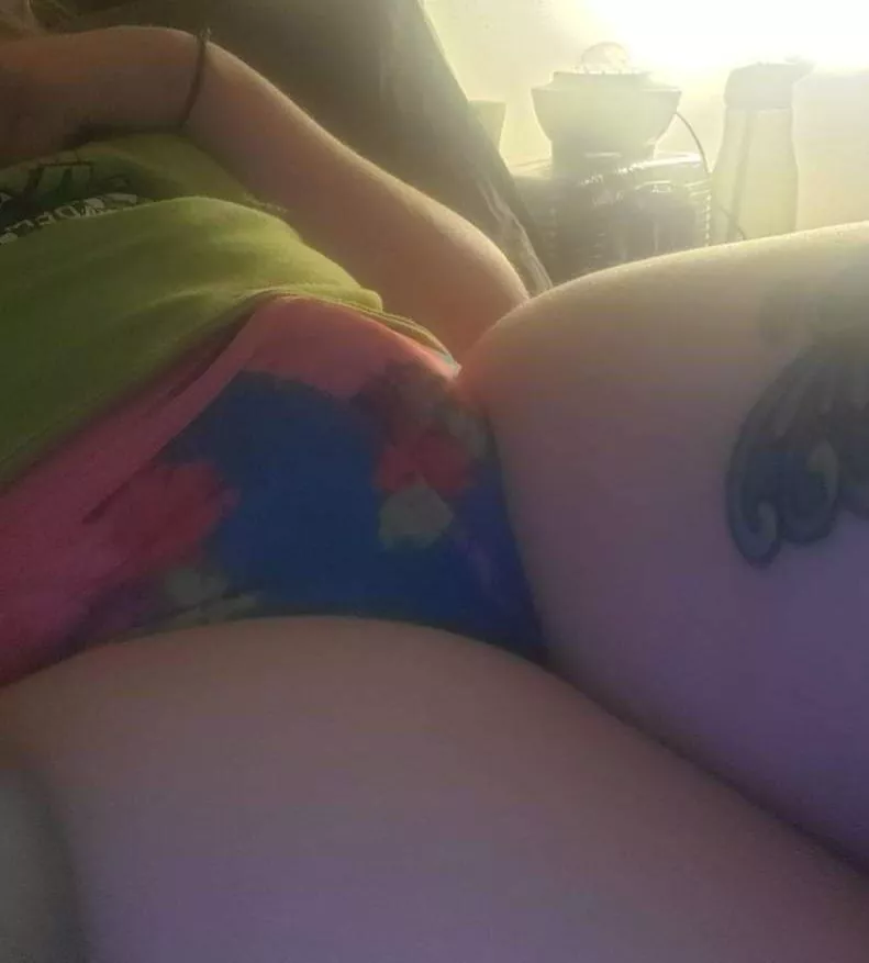 Morning horny babies and feral kitten/pets