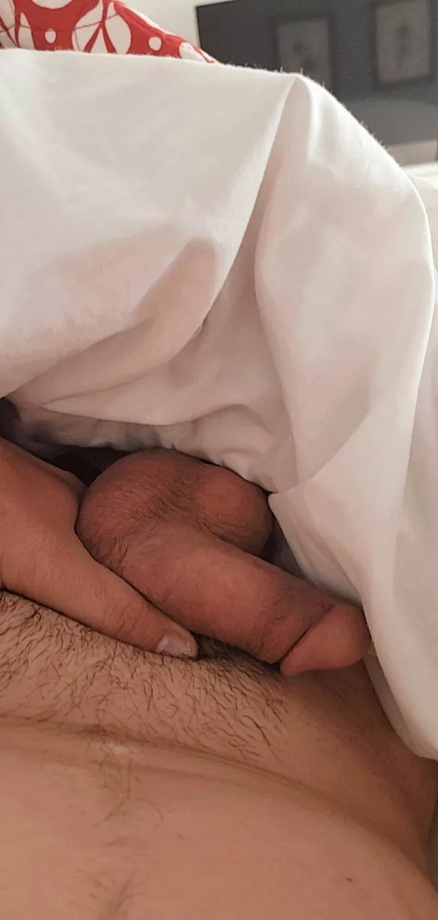 Morning softie Morning softie