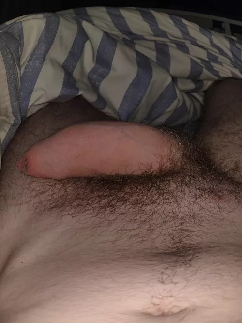Morning softie