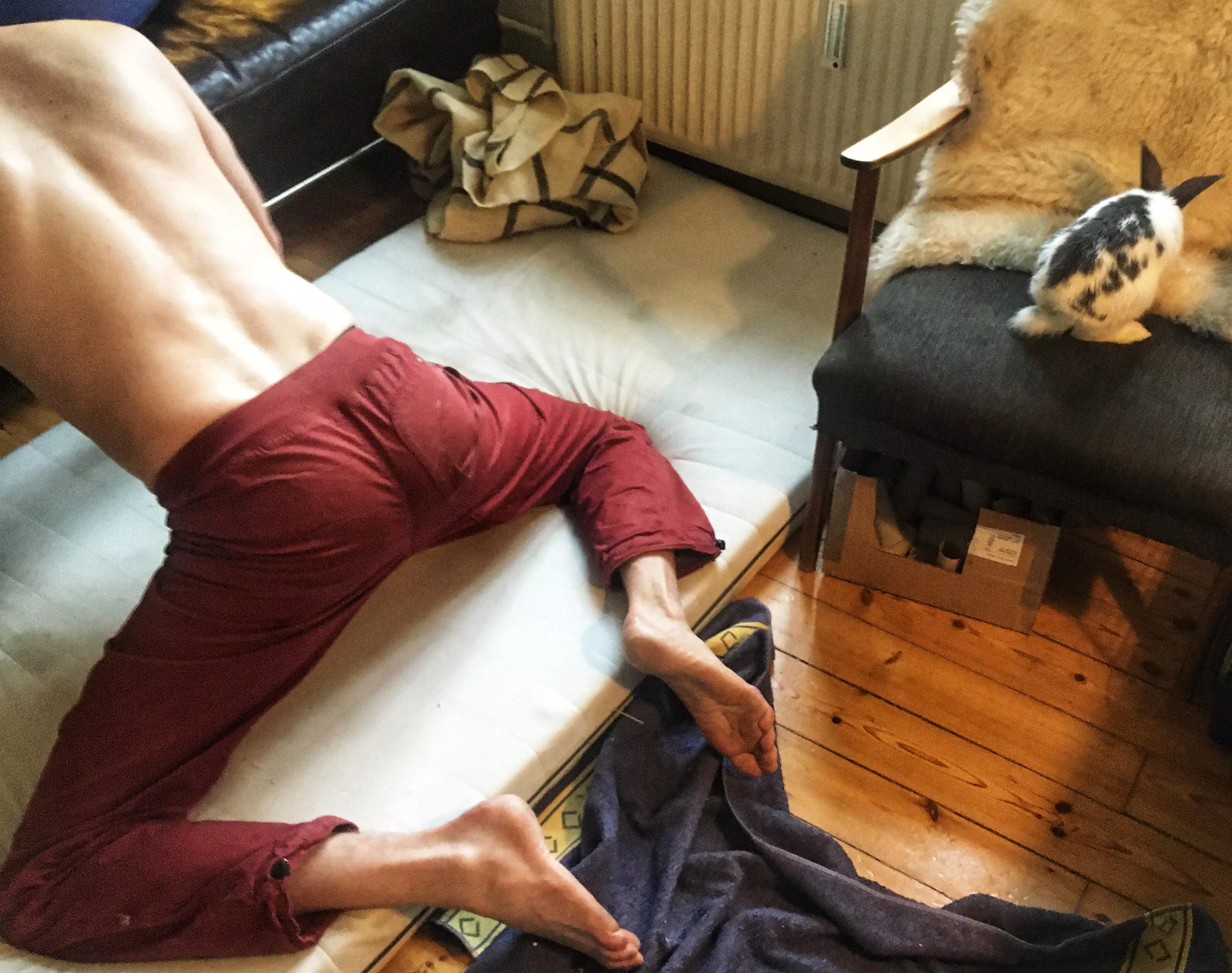 Morning stretch with (m)y bunny Morning stretch with (m)y bunny
