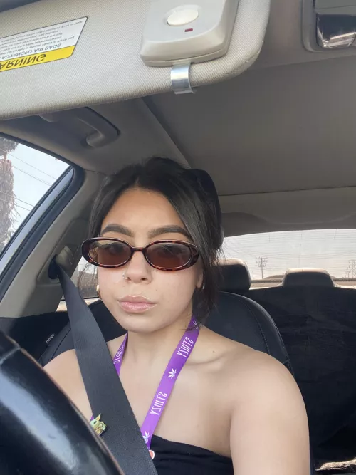 morning sun is blinding