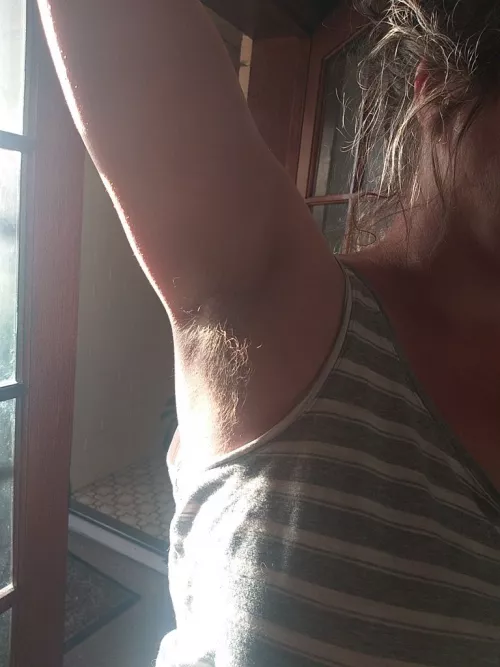 Morning sunshine
