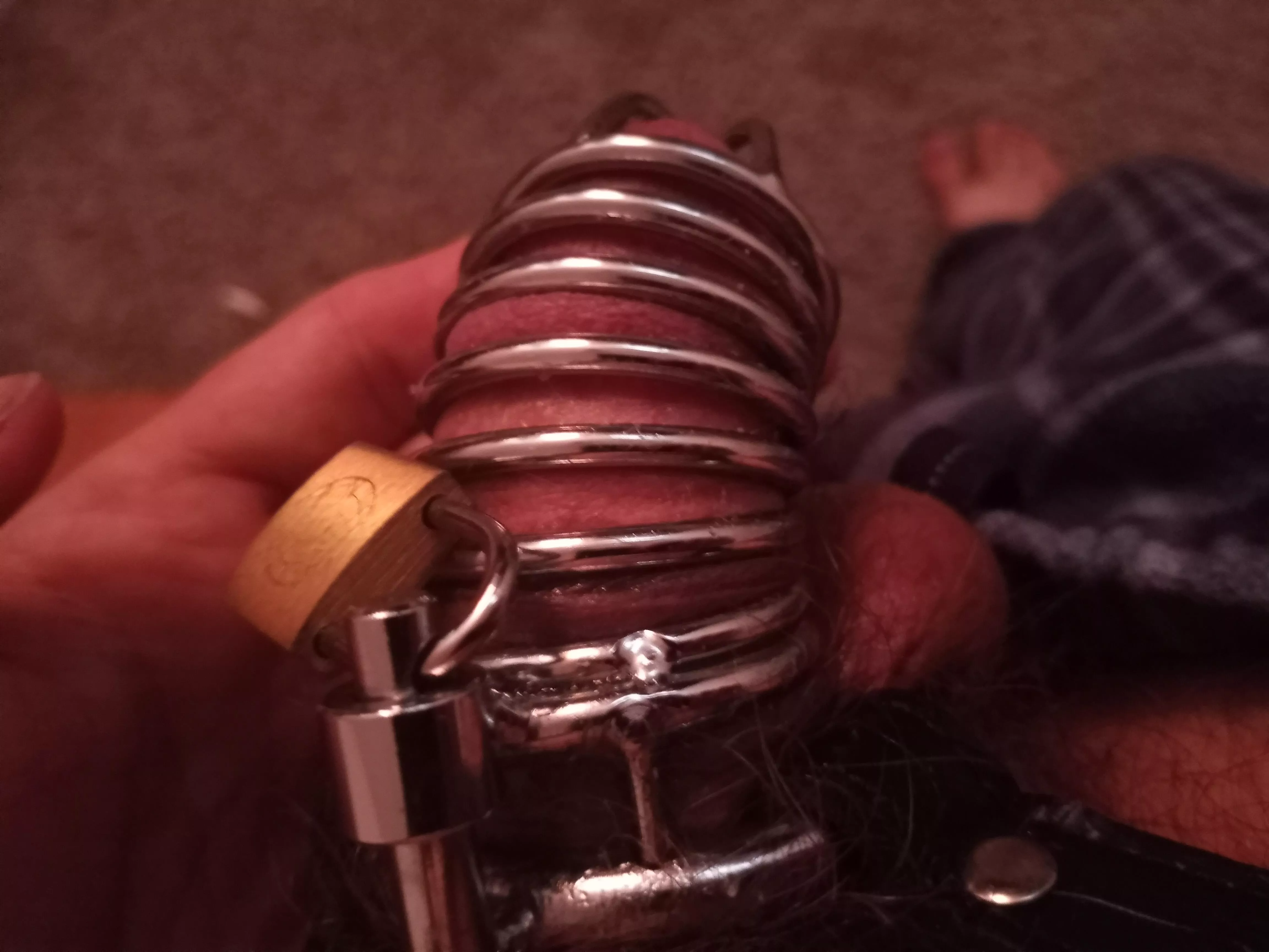 Morning Verification. Locked since 2/1/22. No releases or unlocks yet. Feelin it.