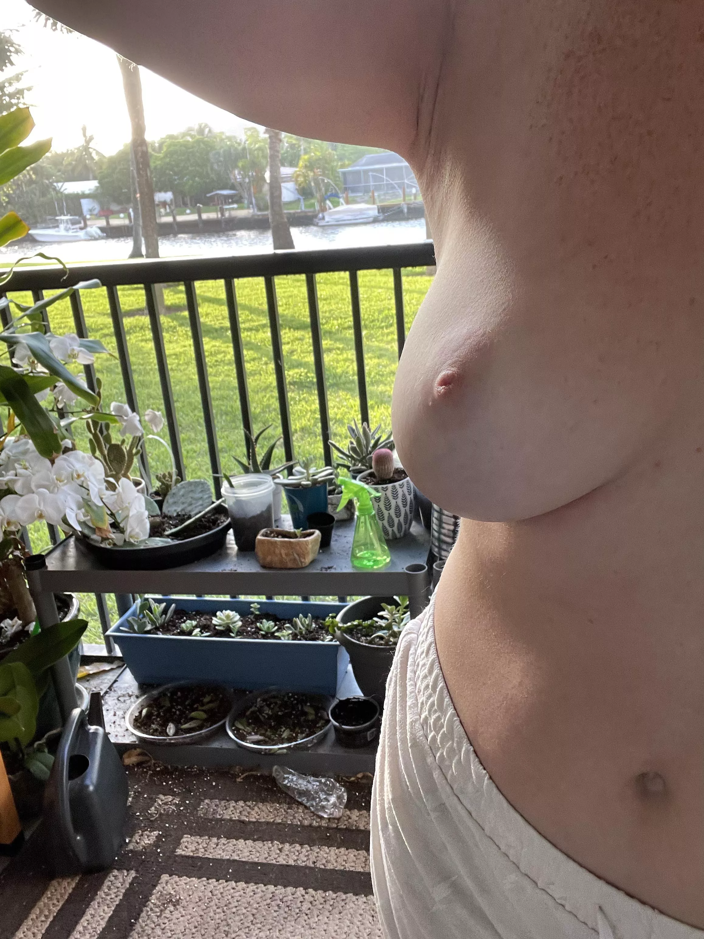 Morning view Morning view