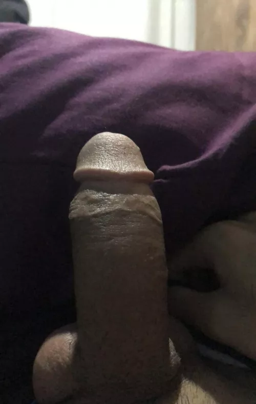 (m)orning woodβπΌπ¦