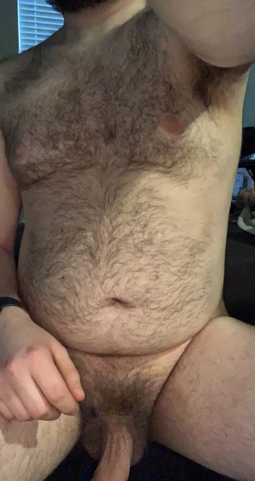 morning wood