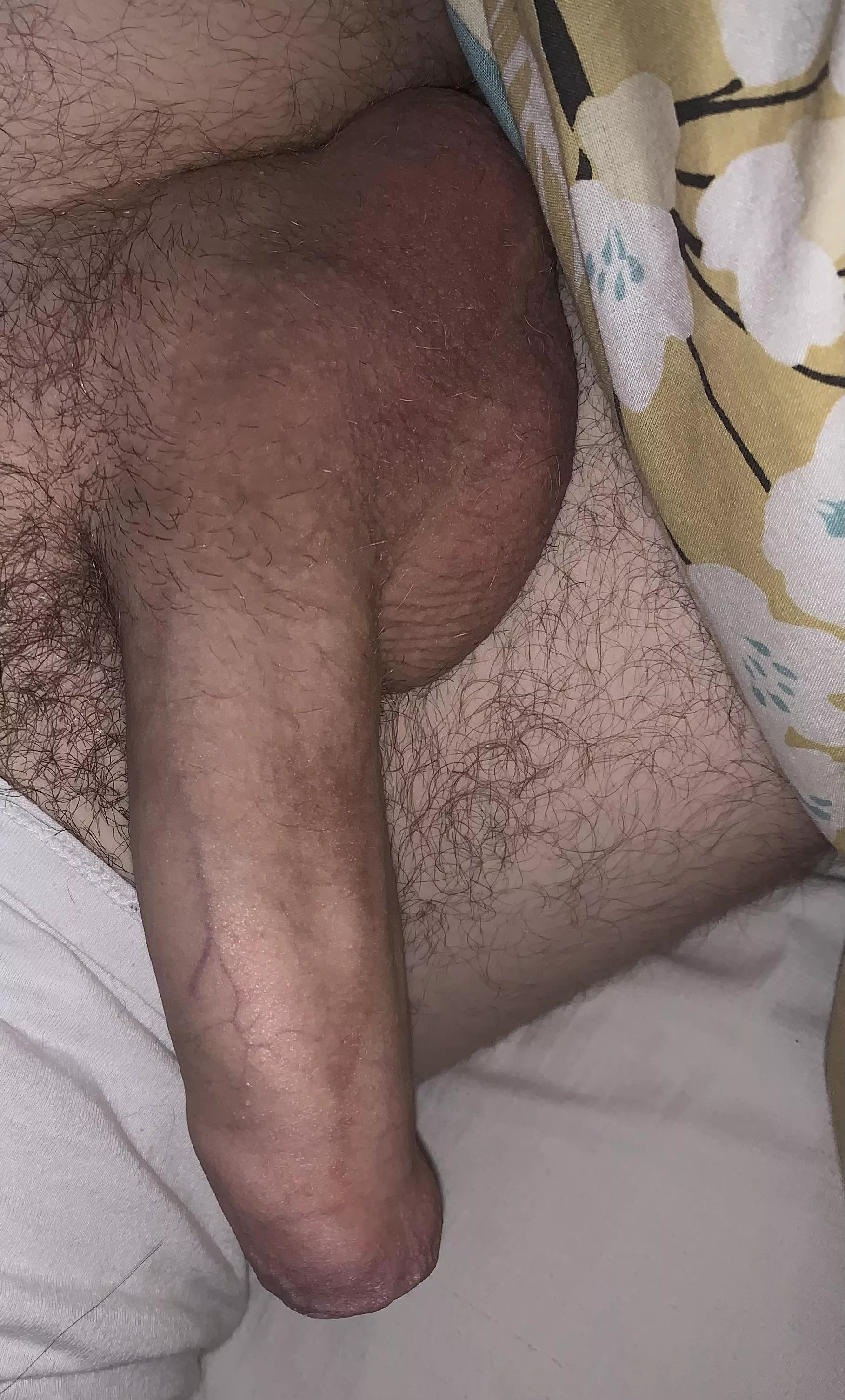 Morning wood Morning wood