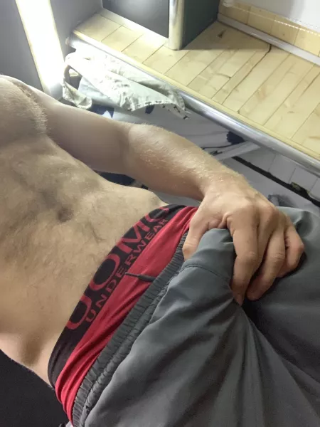 Morning wood Morning wood