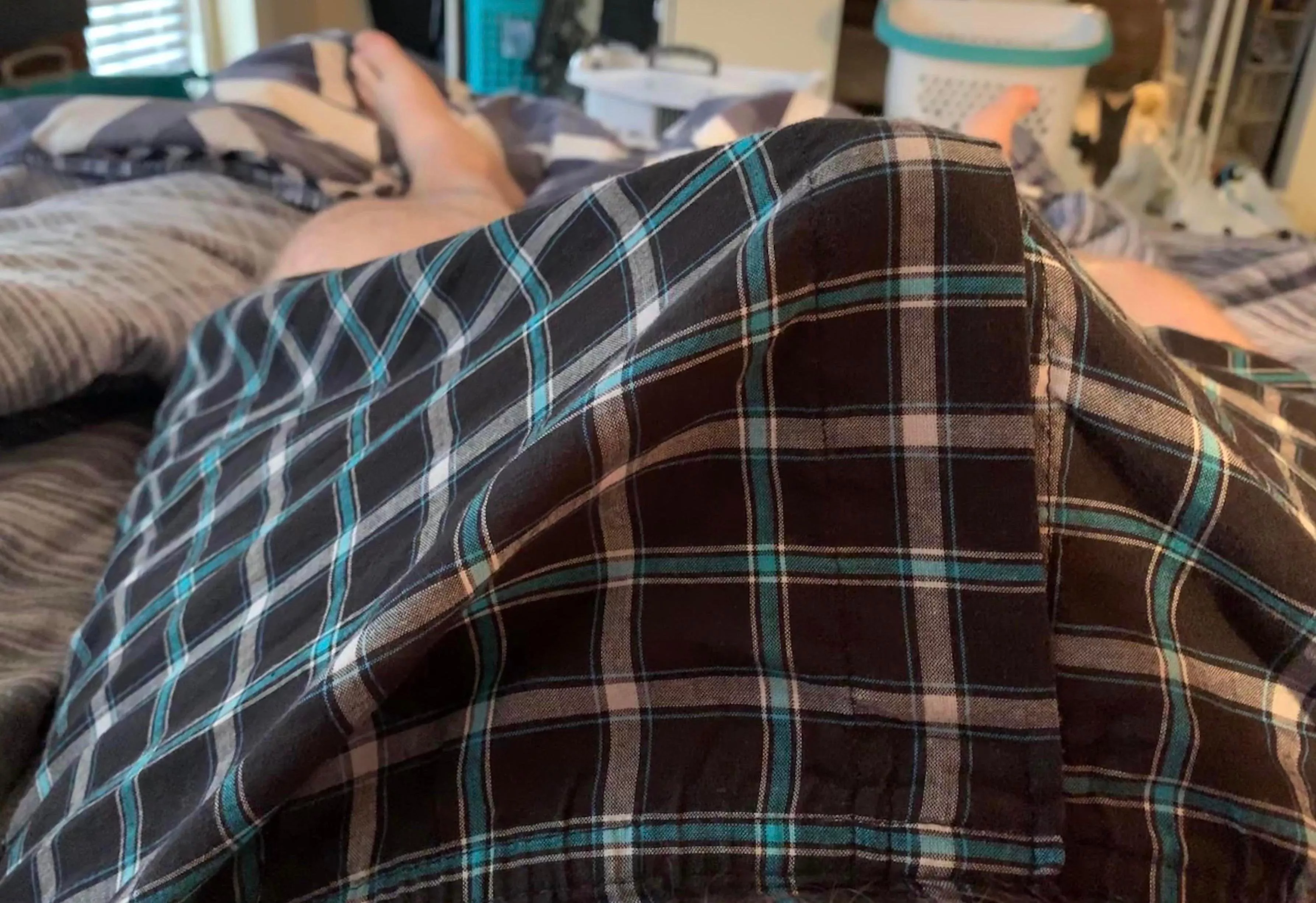 Morning wood is so hard it feels like it’s gonna rip my boxers any second.